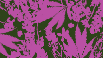 Texas grown wild flower design.