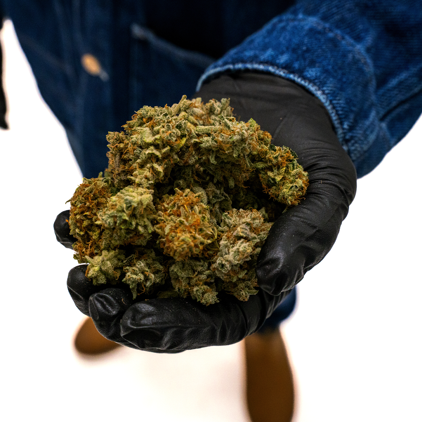 Oh Christmas Tree Wild Flower