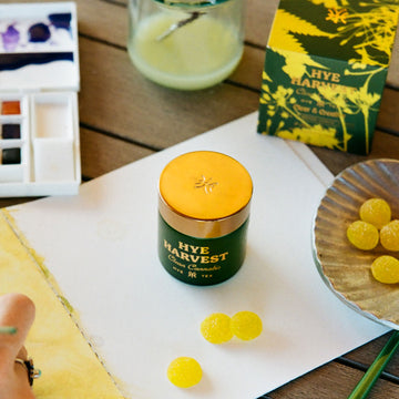 Hye Harvest Meyer Lemon THC gummies with art supplies and a sketchbook, styled for a creative Hye Moment.