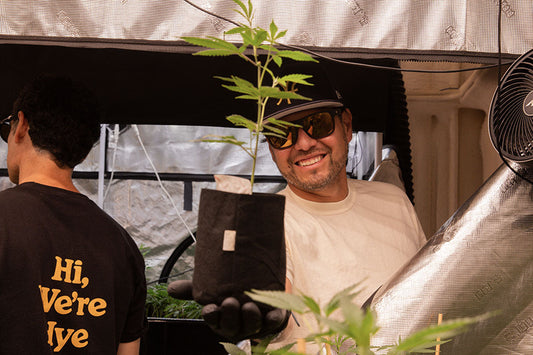 Why Hye Harvest Starts With the Farm