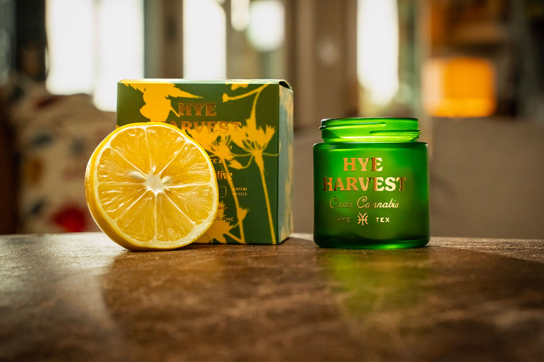 Hye Harvest Meyer Lemon THC gummies in a Texas Hill Country home with a cut lemon. 