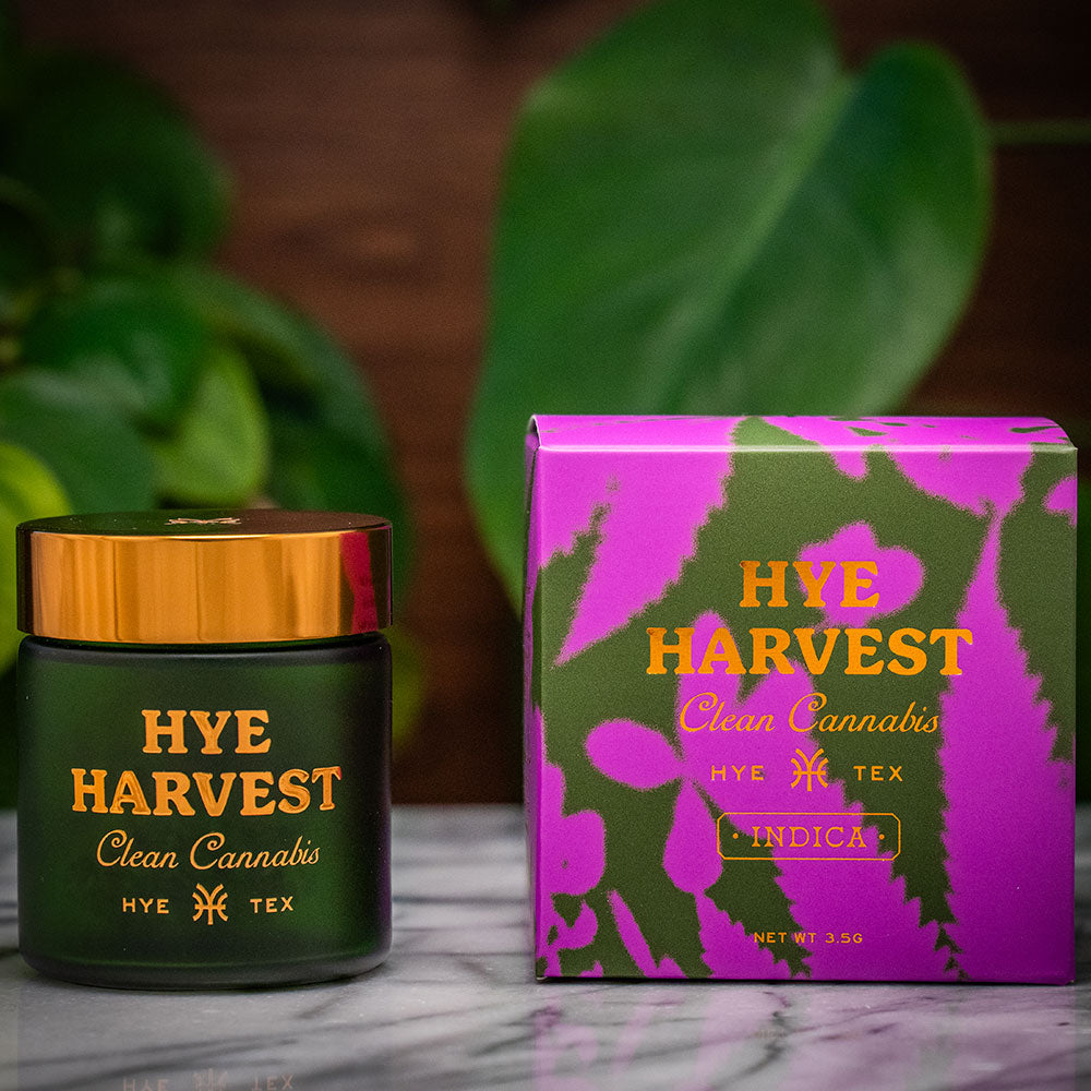 A green glass jar with a gold lid sits next to its purple and green packaging box on a marble countertop, with both items displaying the gold text "Hye Harvest Clean Cannabis Hye Tex Indica" against a soft background of green plant leaves.